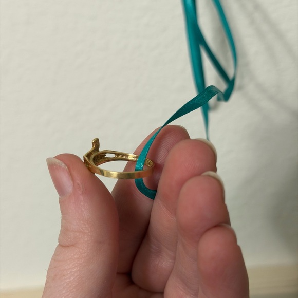 Gold Texas Ring - Picture 5 of 10